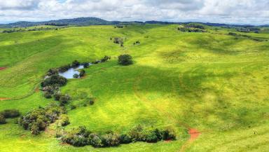 Mixed Farming For Sale - QLD - Evelyn - 4888 - HIGH RAINFALL GRAZING OPPORTUNITY  (Image 2)