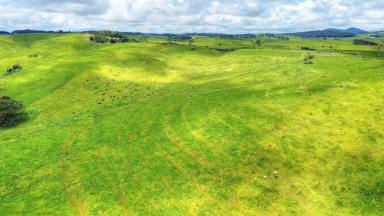 Mixed Farming For Sale - QLD - Evelyn - 4888 - HIGH RAINFALL GRAZING OPPORTUNITY  (Image 2)