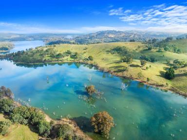 Livestock For Sale - VIC - Bonnie Doon - 3720 - QUALITY HIGH COUNTRY CATTLE GRAZING & LIFESTLYE OPPORTUNITY  (Image 2)