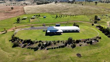 Mixed Farming For Sale - QLD - Maidenhead - 4385 - MIXED FARMING ENTERPRISE  (Image 2)