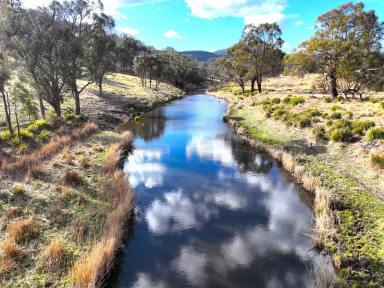 Mixed Farming For Sale - NSW - Deepwater - 2371 - OUTSTANDING GRAZING OPPORTUNITY WITH CARBON POTENTIAL  (Image 2)