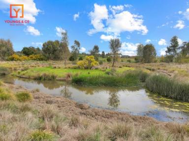 Residential Block For Sale - VIC - Tatura - 3616 - Tatura Waters - Large 2,000m2 Blocks - Stage 3 Titles Now Released!  (Image 2)