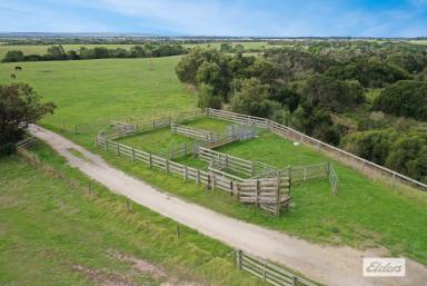 Other (Rural) For Sale - VIC - Alberton - 3971 - PICTURESQUE RIVER COUNTRY  (Image 2)