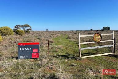 Other (Rural) For Sale - SA - Lower Light - 5501 - Prime Opportunity - 118 acres in Lower Light  (Image 2)