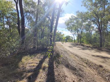 Residential Block For Sale - QLD - Moolboolaman - 4671 - 66.7 Acres Bush Block with dam  (Image 2)