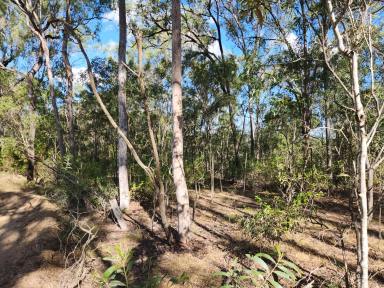 Residential Block For Sale - QLD - Moolboolaman - 4671 - 66.7 Acres Bush Block with dam  (Image 2)
