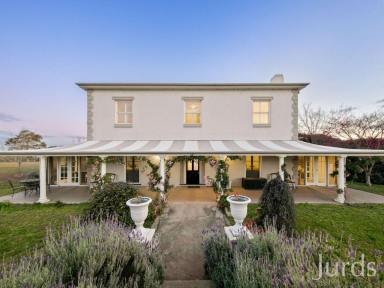 Lifestyle For Sale - NSW - Lovedale - 2325 - THIRSTY PALETTE - HUNTER VALLEY VINEYARD AND ACCOMMODATION -  (Image 2)