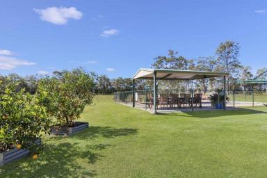 House For Sale - QLD - Goomboorian - 4570 - AGRICULTURE/HOBBY FARM WITH FOREST BOUNDARIES CLOSE TO TOWN  (Image 2)