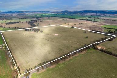 Other (Rural) For Sale - NSW - Cowra - 2794 - 157ACRE*, PRIME COUNTRY WITH A BUILDING ENTITLEMENT!  (Image 2)