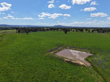 Other (Rural) For Sale - NSW - Cowra - 2794 - 157ACRE*, PRIME COUNTRY WITH A BUILDING ENTITLEMENT!  (Image 2)