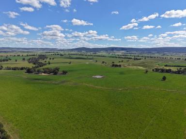 Other (Rural) For Sale - NSW - Cowra - 2794 - 157ACRE*, PRIME COUNTRY WITH A BUILDING ENTITLEMENT!  (Image 2)