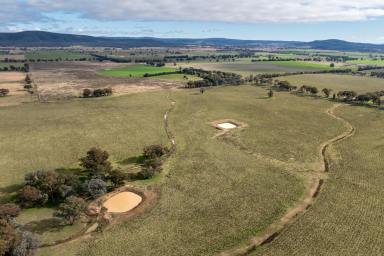 Other (Rural) For Sale - NSW - Cowra - 2794 - 157ACRE*, PRIME COUNTRY WITH A BUILDING ENTITLEMENT!  (Image 2)