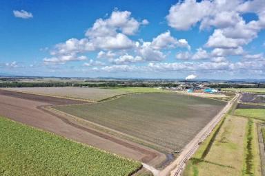 Other (Rural) For Sale - QLD - Brandon - 4808 - 943 Acre Freehold/Leasehold Sugar Cane Property  (Image 2)