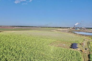 Other (Rural) For Sale - QLD - Brandon - 4808 - 943 Acre Freehold/Leasehold Sugar Cane Property  (Image 2)