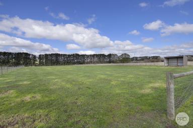 Residential Block For Sale - VIC - Waubra - 3352 - Build Your Dream Home With All The Hard Work Done!  (Image 2)