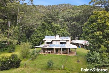House For Sale - NSW - Kangaroo Valley - 2577 - Affordable Acreage in a Priceless Location!  (Image 2)