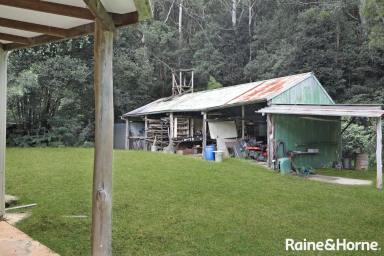 House For Sale - NSW - Kangaroo Valley - 2577 - Affordable Acreage in a Priceless Location!  (Image 2)