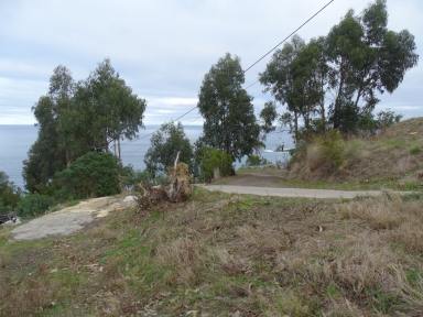 Residential Block For Sale - VIC - Wye River - 3234 - Much sort after area  (Image 2)