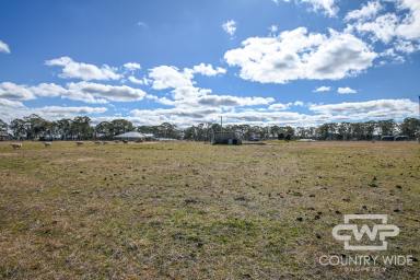 Residential Block For Sale - NSW - Black Mountain - 2365 - Prime Land for Sale  (Image 2)