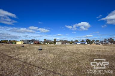 Residential Block For Sale - NSW - Black Mountain - 2365 - Prime Land for Sale  (Image 2)