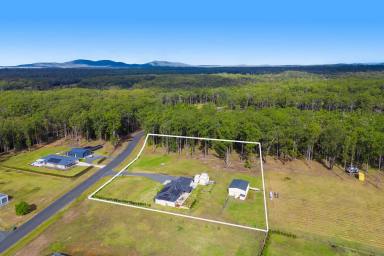 House For Sale - NSW - Verges Creek - 2440 - Unbelievable Value! Irreplaceable Rural Oasis on 2.5 Acres! Don't Wait!  (Image 2)