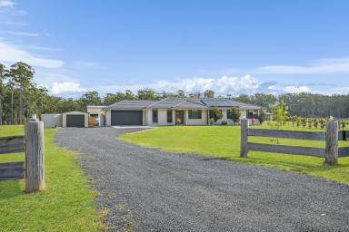 House For Sale - NSW - Verges Creek - 2440 - Family Oasis Nestled on 2.5 Acres in East Edge Estate  (Image 2)