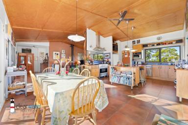 House For Sale - NSW - Bingie - 2537 - "Gulaga Dreaming" @ Bingie (Offers Invited)  (Image 2)