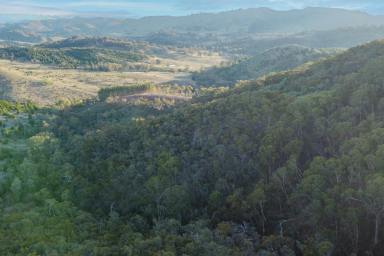 Residential Block For Sale - VIC - Bonnie Doon - 3720 - Adrenaline junkies, outdoor enthusiasts, hermits, and nature lovers rejoice!  (Image 2)