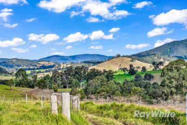 Lifestyle For Sale - NSW - Gloucester - 2422 - Hidden Paradise with Endless Potential  (Image 2)