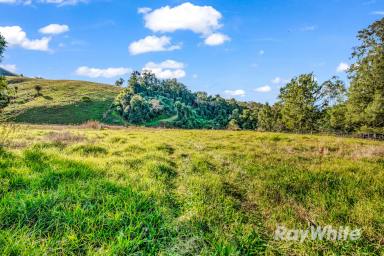 Lifestyle For Sale - NSW - Gloucester - 2422 - Hidden Paradise with Endless Potential  (Image 2)