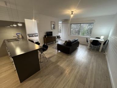 Apartment Leased - TAS - Sandy Bay - 7005 - Furnished executive rental  (Image 2)