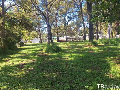 Residential Block For Sale - QLD - Macleay Island - 4184 - Mostly Cleared Block  (Image 2)