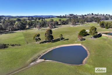 Residential Block For Sale - VIC - Lockwood South - 3551 - PICTURESQUE LIFESTYLE LAND WITH ELEVATED DISTANT VIEWS  (Image 2)