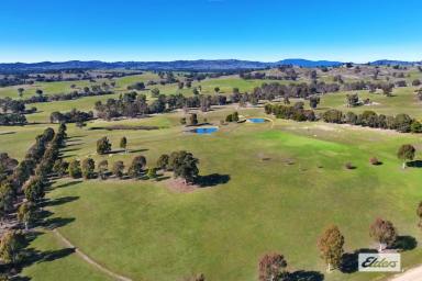 Residential Block For Sale - VIC - Lockwood South - 3551 - PICTURESQUE LIFESTYLE LAND WITH ELEVATED DISTANT VIEWS  (Image 2)