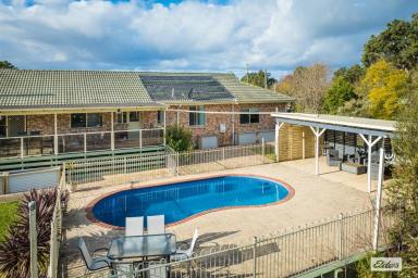 House For Sale - NSW - Bega - 2550 - Stunning Family Home with Acres, Shed, and Pool!  (Image 2)