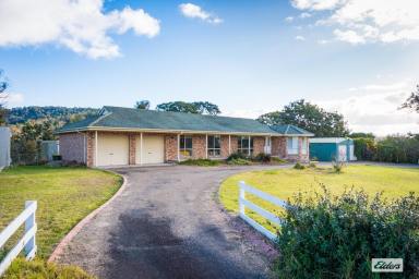 House For Sale - NSW - Bega - 2550 - SMALL ACREAGE BETWEEN BEGA AND TATHRA  (Image 2)