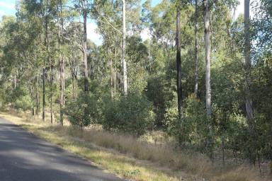 Lifestyle For Sale - NSW - Bulldog - 2469 - THE SECRET FOREST  (Image 2)