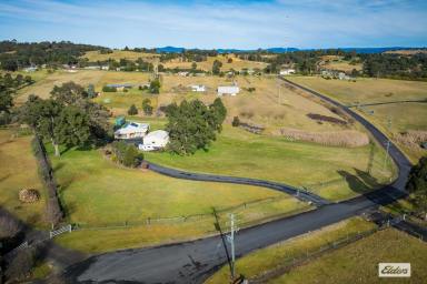 Acreage/Semi-rural For Sale - NSW - Bega - 2550 - Versatile 3-Bedroom Home on Acreage in Bega  (Image 2)