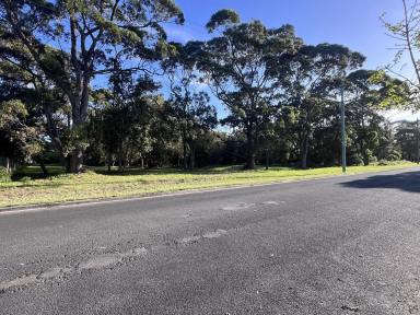 Residential Block For Sale - NSW - Shoalhaven Heads - 2535 - Medium Density Site  (Image 2)