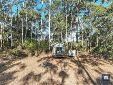 Other (Rural) For Sale - VIC - Kennedys Creek - 3239 - Escape to Nature…  (Image 2)