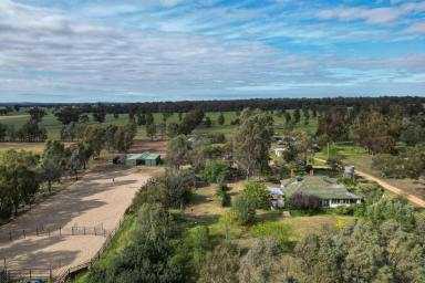 Mixed Farming For Sale - NSW - The Rock - 2655 - Country lifestyle in renown farming area  (Image 2)