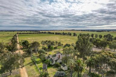 Mixed Farming For Sale - NSW - The Rock - 2655 - Country lifestyle in renown farming area  (Image 2)