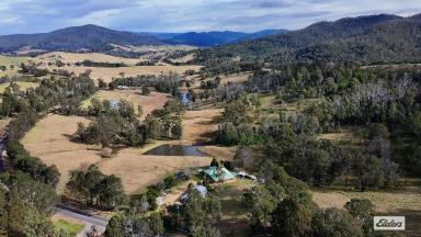 Acreage/Semi-rural For Sale - NSW - Wyndham - 2550 - MOVTIVATED VENDORS - WANT PROPERTY SOLD  (Image 2)