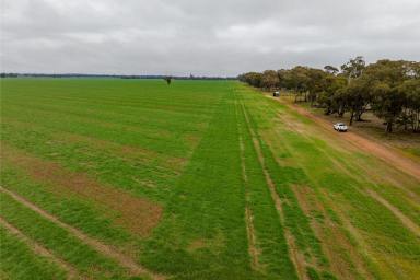 Mixed Farming Auction - NSW - Milbrulong - 2656 - Excellent turn key add on or starter opportunity  (Image 2)