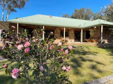 House For Sale - QLD - Nundubbermere - 4380 - "BINDARI" a Beautiful granite homestead  (Image 2)