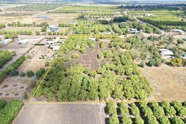 Other (Rural) For Sale - QLD - Mount Kelly - 4807 - 4.94 Acres with Shed and Town Water - Mt Kelly  (Image 2)