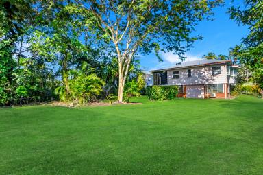 House Sold - QLD - Parramatta Park - 4870 - NEVER BEFORE OFFERED TO THE MARKET: An Iconic Queenslander on Massive Corner Double Block!  (Image 2)