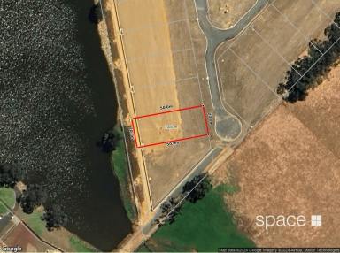 Residential Block For Sale - WA - Cowaramup - 6284 - Waterfront Block  (Image 2)