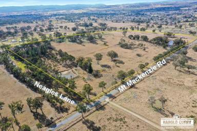 Acreage/Semi-rural For Sale - NSW - Tenterfield - 2372 - 'Fairview' - Opportunity Knocks.....  (Image 2)