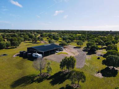 Acreage/Semi-rural For Sale - QLD - North Isis - 4660 - PEACEFUL 65 ACRES WITH THE LARGE SHED WE ALL WANT  (Image 2)